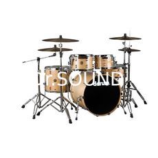 Ремонт DDRUM DS MP 20 5 C NAT