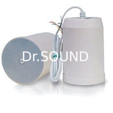 Ремонт CVGaudio SPC5T