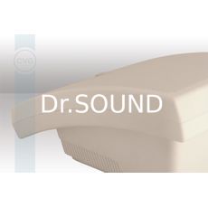 Ремонт CVGaudio WPA10T