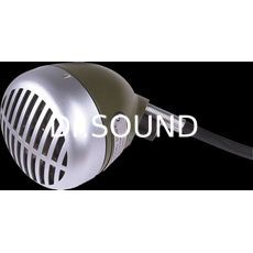 Ремонт Shure 520DX