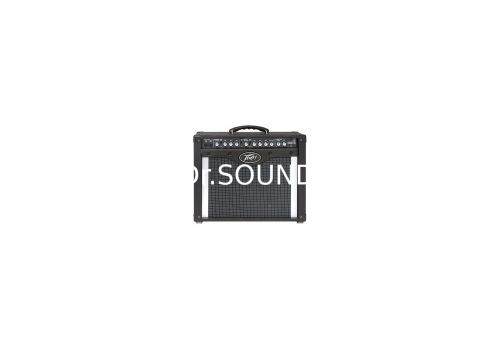Ремонт PEAVEY TransTube Envoy 110